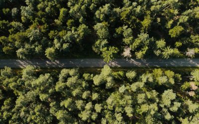 Le Plan de Mobilité Employeur (PDME) : pourquoi et comment le mettre en place ?