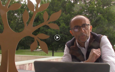 Thierry Lestriez, pilote sur l&rsquo;accompagnement de la filière papier carton