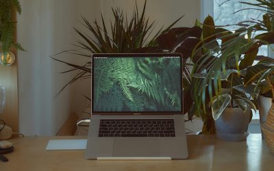 Communication RSE : un outil stratégique au service de la cohérence interne